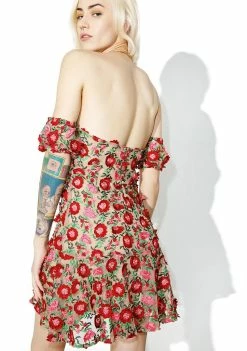 For Love & Lemons Amelia Strapless Mini Dress Dresses