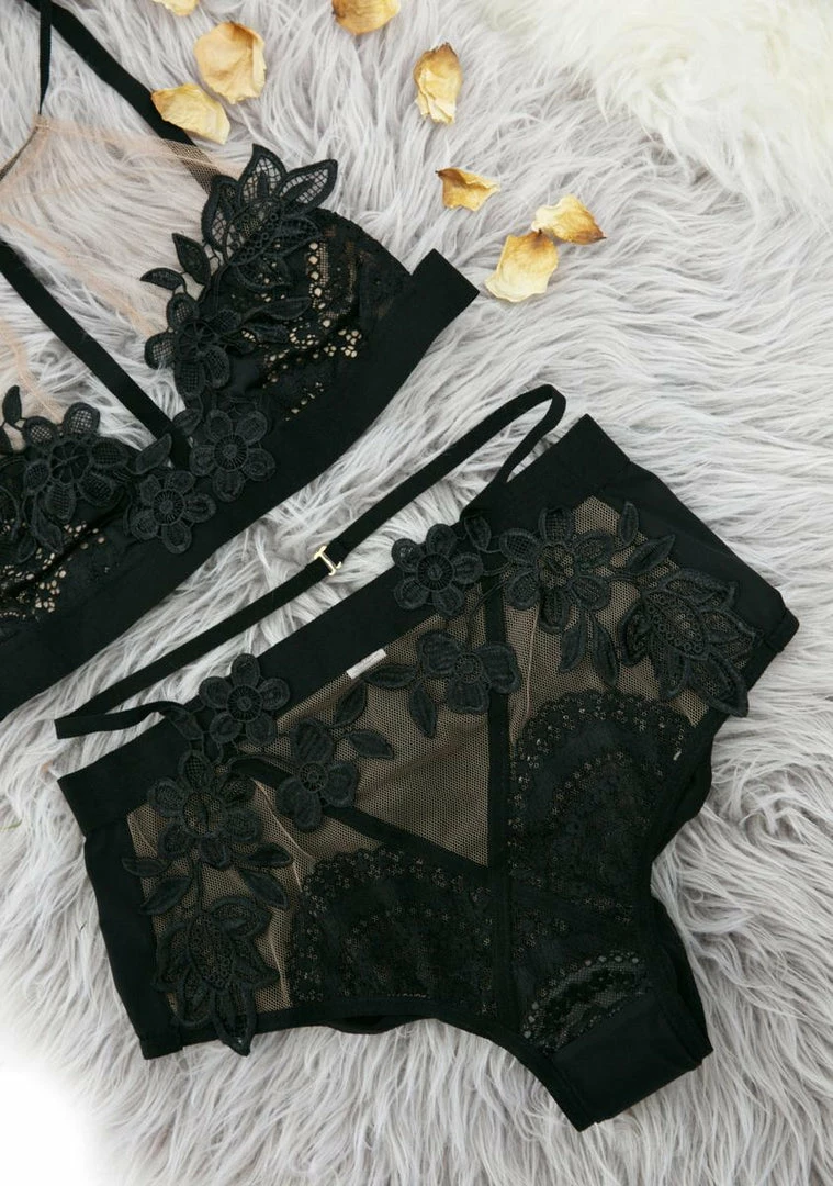 Cheap βοΈ For Love & Lemons Lucia Hi Waist Panty Lingerie & Sleepwear π 2 For Love & Lemons Lucia Hi Waist Panty Lingerie & Sleepwear